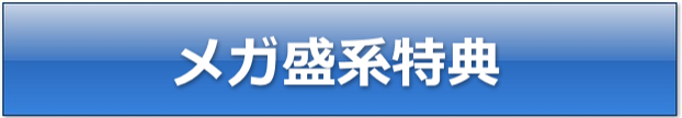 メガ盛系特典